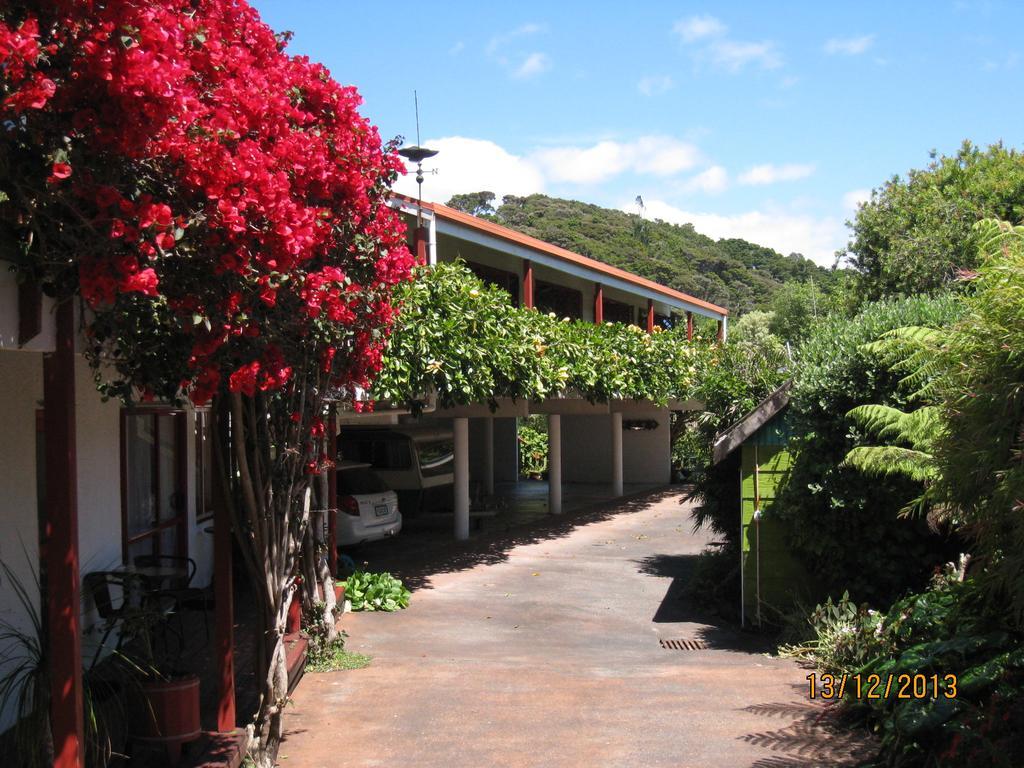 Alfa Boutique Motel Paihia Esterno foto